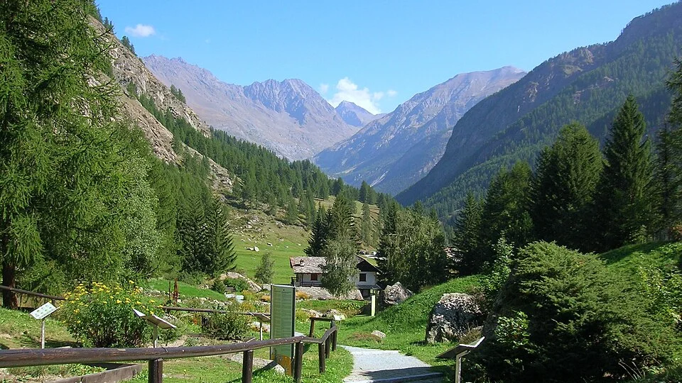 Le jardin botanique Paradisia – Mille espèces de montagne à 1 700 mètres, au cœur du Grand-Paradis
