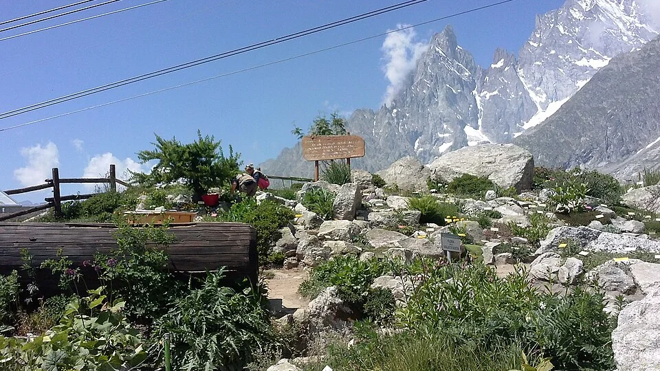 Le jardin botanique Saussurea – Neuf cents espèces à 2 173 mètres, face au Mont Blanc
