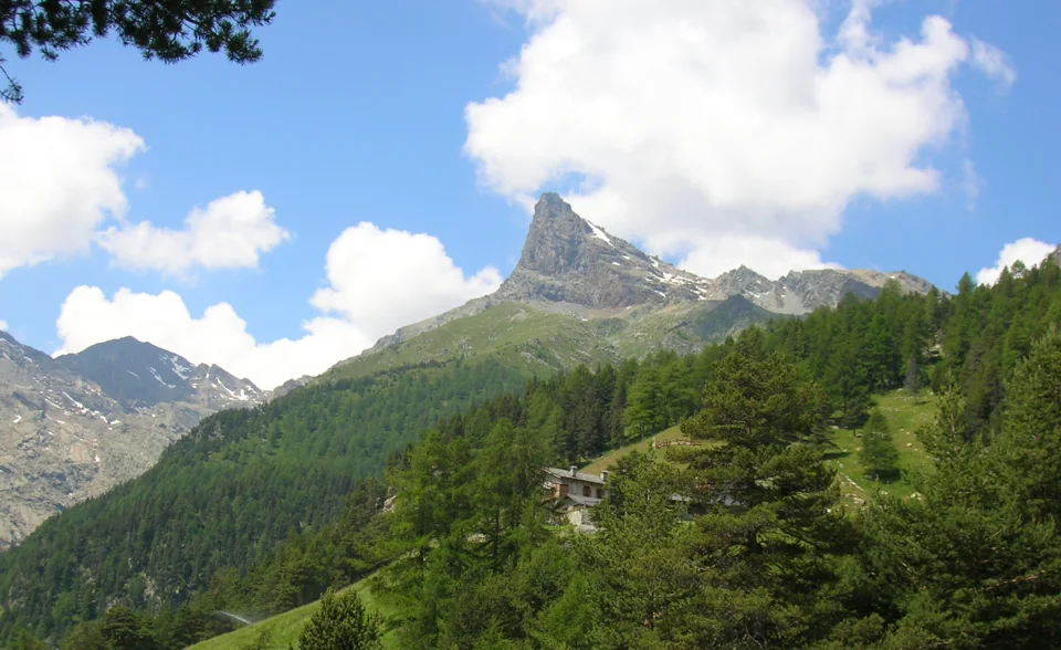 Photographier la faune alpine avec le parc du Mont-Avic – Un atelier à Champorcher et une soirée à Bard avec Marco Colombo, le 24 octobre 2026