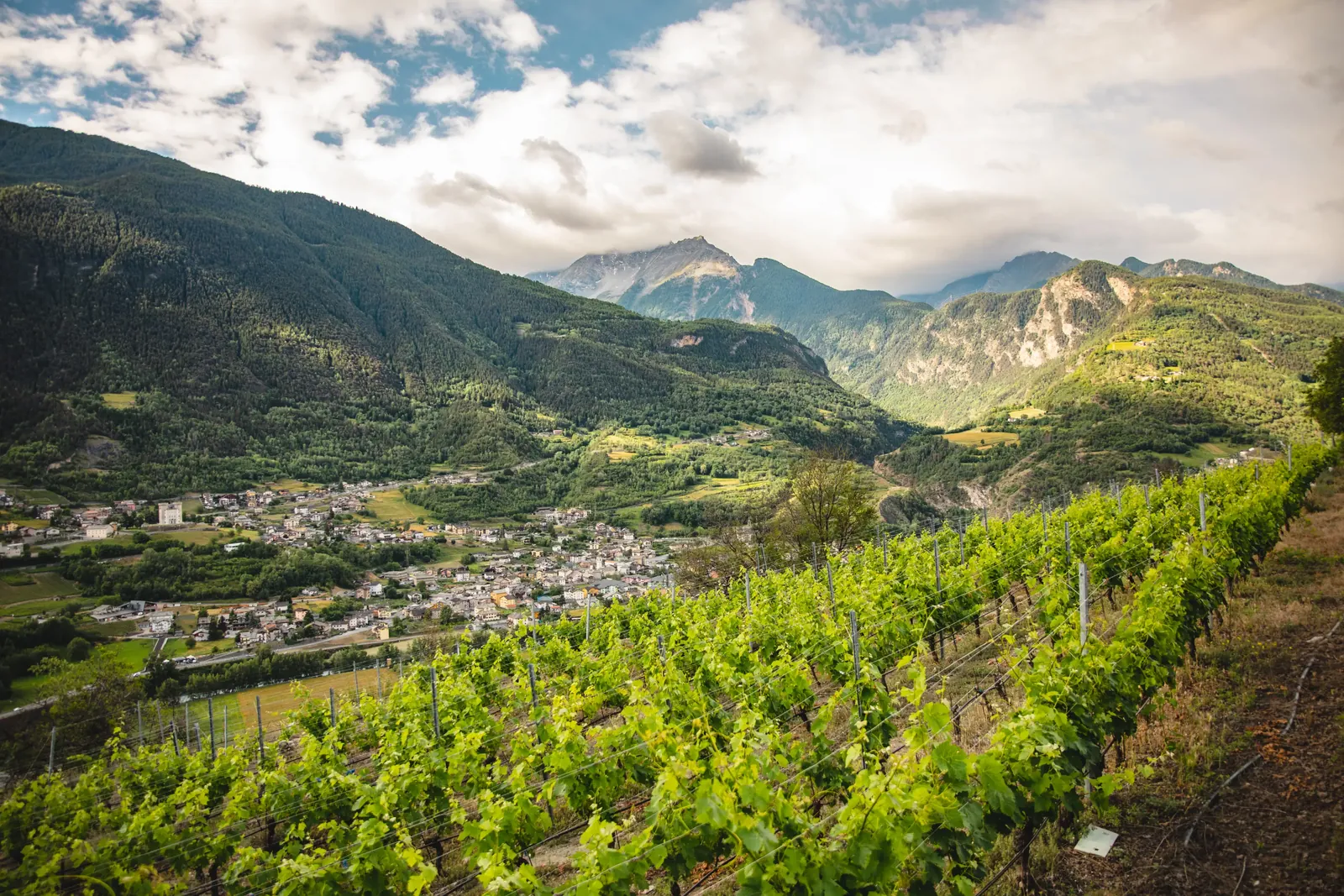 La Source – Une cave baptisée par l’eau trouvée en creusant