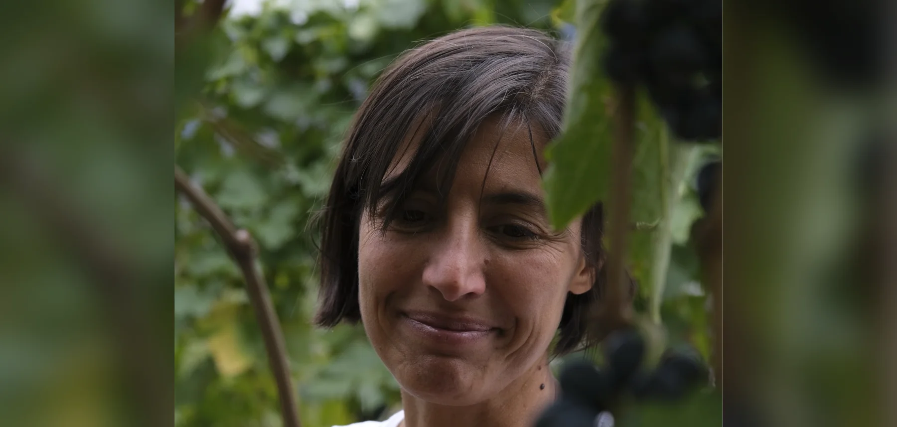 Maison Vagneur – Mountain vines brought back to life at the foot of the Saint-Nicolas bell tower