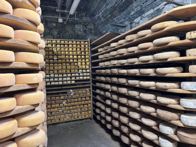 The ageing cellar