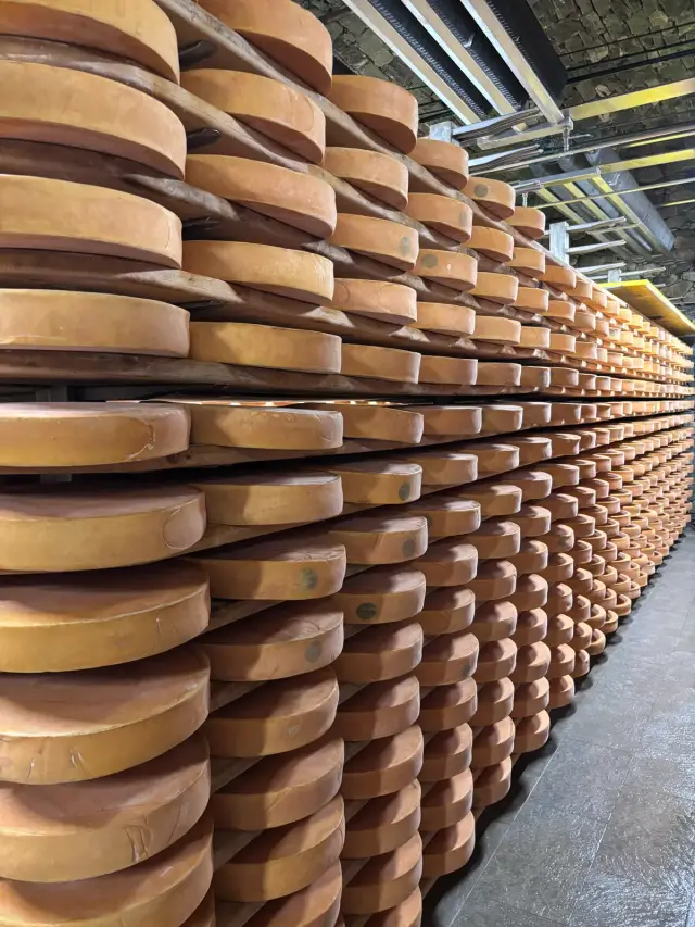 Cheese wheels ageing
