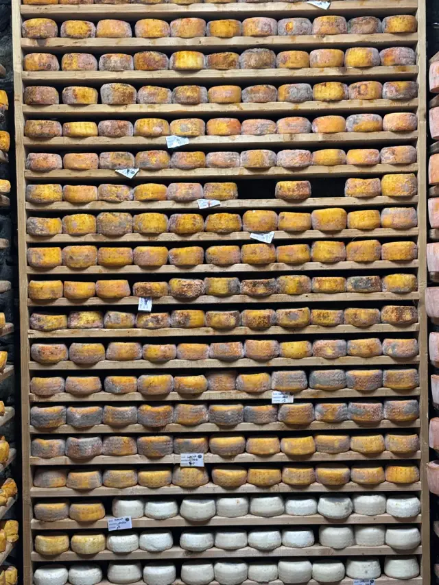 Small tommes in the cellar