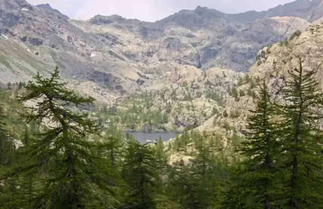 Il Parco naturale Mont Avic
