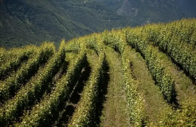 La Crotta di Vegneron – photo 3