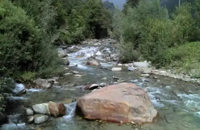 Il Buthier
